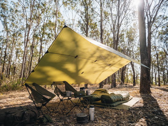 Tarp vs Tent: Which is the Best Shelter for You?