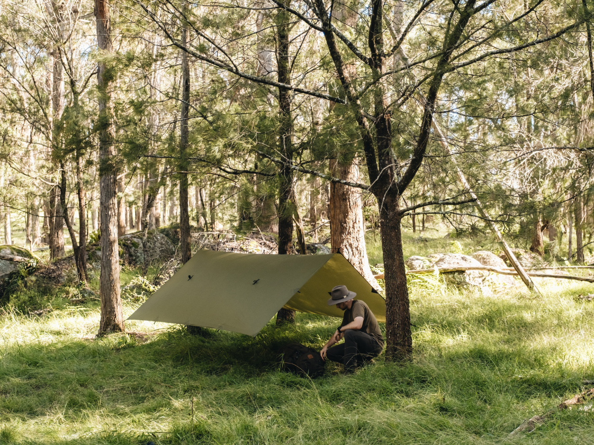 Everything You Need to Know About Tarp Camping Alton