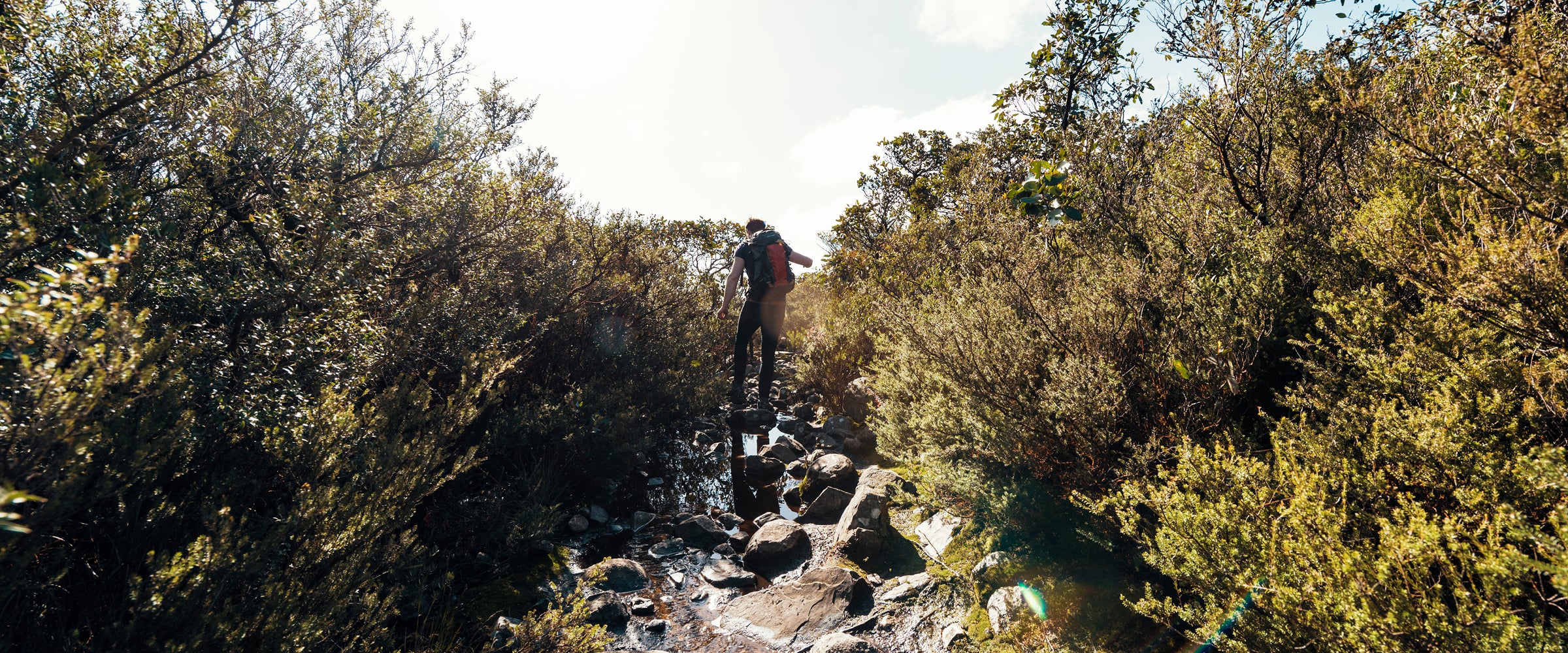 Hiking Gear Australia Ultralight Accessories & Supplies Store Alton