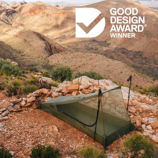 Ultralight Bug Net Tent