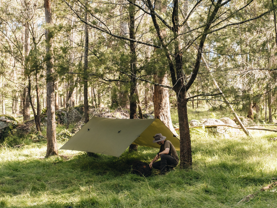 Everything You Need to Know About Tarp Camping