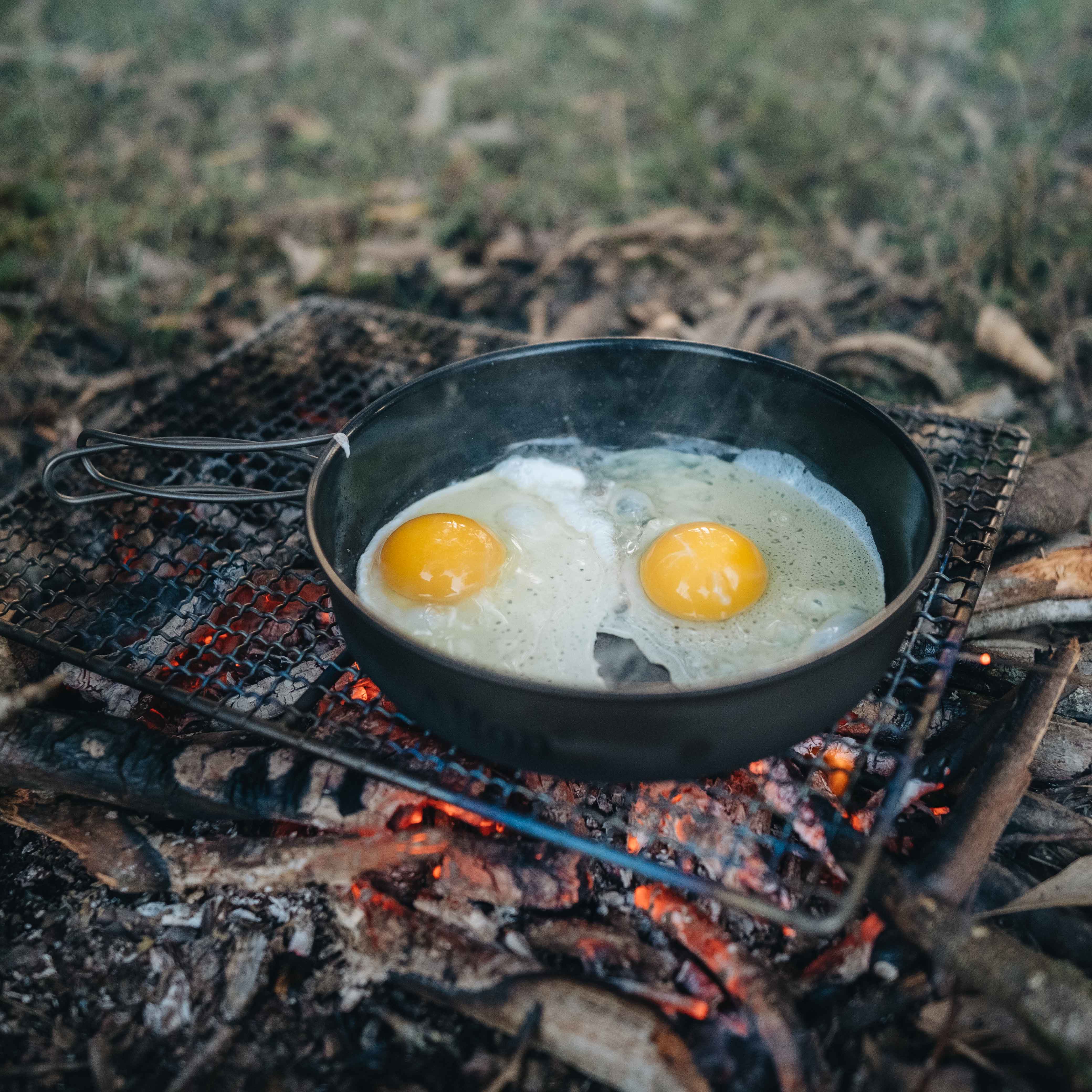 Titanium frying deals pan