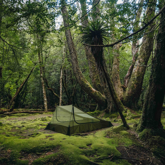 Ultralight Bug Net Tent - Double