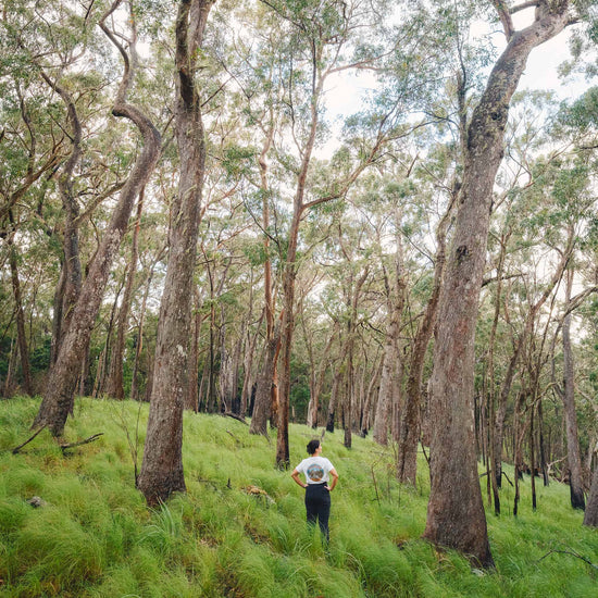 Tasman National Park Tee