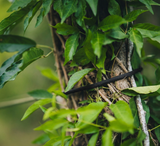 4mm 550 Paracord  (7 Strand Core)